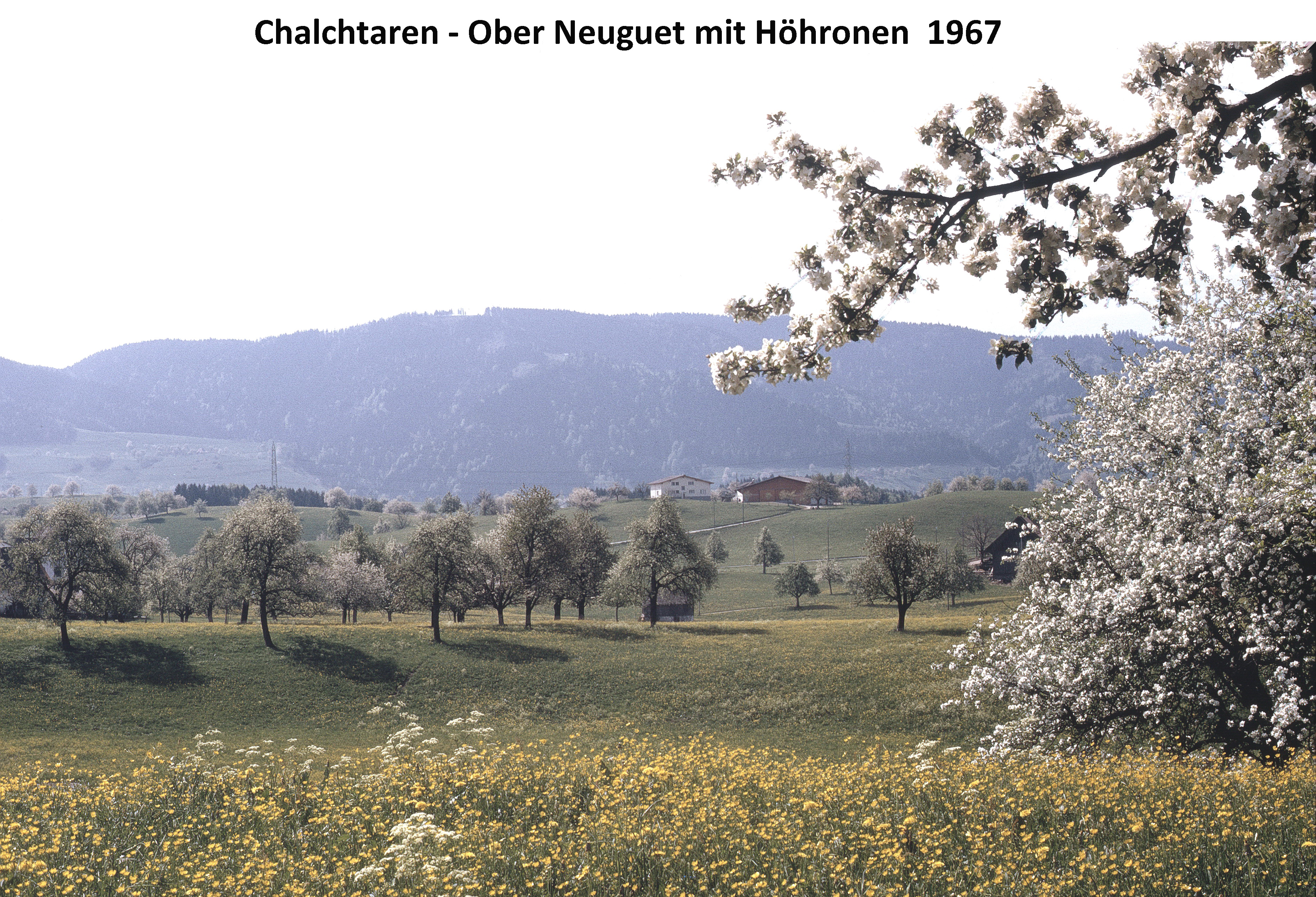 Chalchtaren / Neuguet 1967