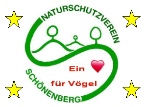 Logo NVS Weihnachsmarkt