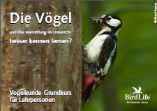 Vogelkunde-Grundkurs für Lehrpersonen in Wädenswil