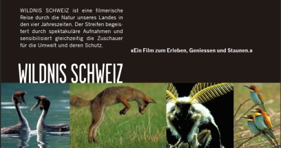 [bbgal=Film]Kino-Abend: «Wildnis Schweiz»