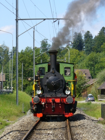 20070826_135540_nvs_sihlwald.jpg