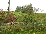 20101009_092437_nvs_matten_53.jpg