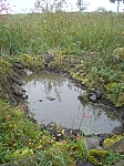 20101009_115314_nvs_matten_88.jpg