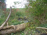 20101009_131750_nvs_matten_97.jpg