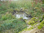 20101009_131819_nvs_matten_100.jpg