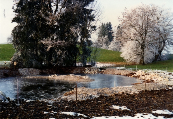 Biotop Matten, ca. 1997