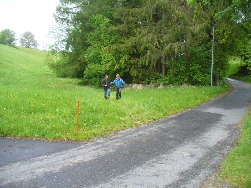 20120518_nvs_steinweid_074.jpg