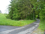 20120518_nvs_steinweid_002.jpg