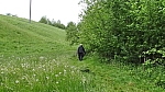 20120518_nvs_steinweid_014.jpg