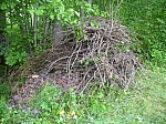 20120518_nvs_steinweid_047.jpg