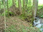 20120518_nvs_steinweid_058.jpg