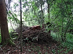 20120518_nvs_steinweid_061.jpg