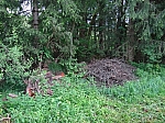 20120518_nvs_steinweid_062.jpg