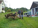 20120518_nvs_steinweid_084.jpg