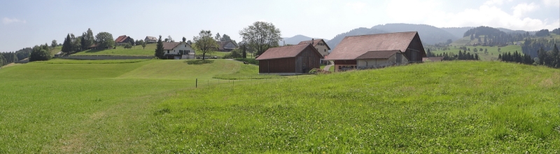 20130720_083740_nvs_sihlputzete_22zufahrthaslaub4bernhardschuler.jpg